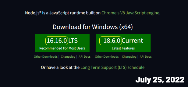 Node JS Install